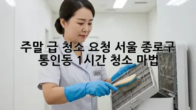 주말 급 청소 요청? 서울 종로구 통인동 1시간 청소 마법!