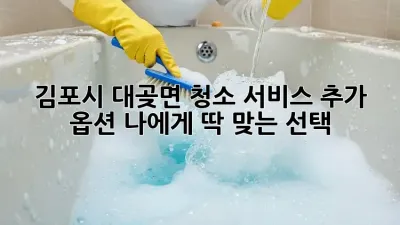 김포시 대곶면 청소 서비스 추가 옵션: 나에게 딱 맞는 선택!