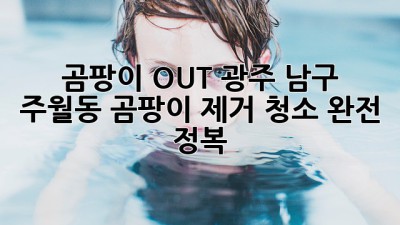 🏡 곰팡이 OUT! 광주 남구 주월동 곰팡이 제거 청소 완전 정복 ✨