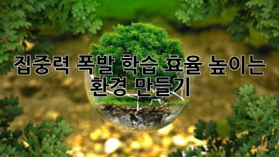 집중력 폭발! 학습 효율 높이는 환경 만들기