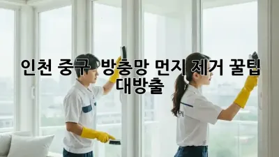 인천 중구 ✨ 방충망 먼지 제거 꿀팁 대방출! 🏡
